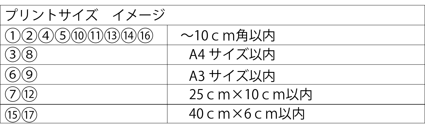 ロングTシャツプリントサイズ表