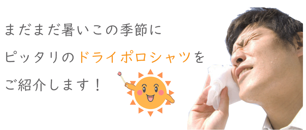 2段目画像