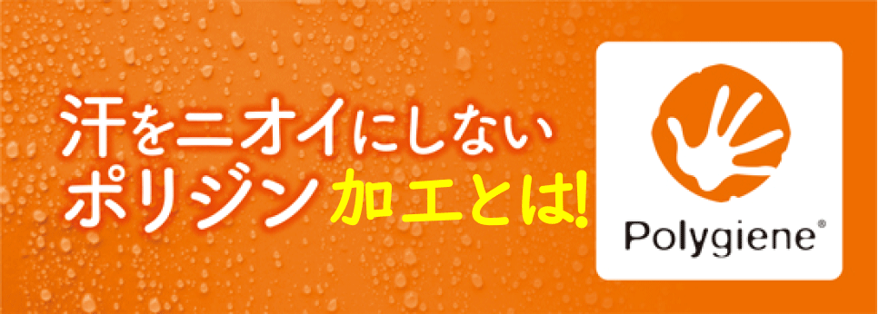 ポリジン説明