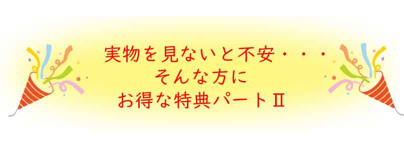 特典②